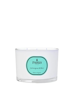 VELA AROMATERAPIA VINTAGE 350G LEMONGRASS & MENTA 3 MECHAS