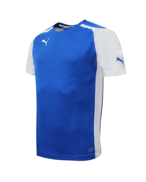 Puma Speed ​​Jersey Training Gym Sports Camiseta Azul - Mens