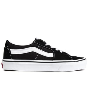 Vans Sk8-Low Entrenadores