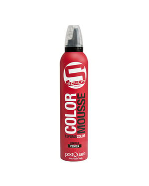 ESPUMA COLOR CENIZA 300 ML.