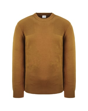 Suéter marrón para hombre lacoste simple