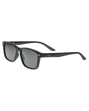 Simplifique las gafas de sol polarizadas Wilder
