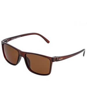 Simplifique las gafas de sol polarizadas Ellis