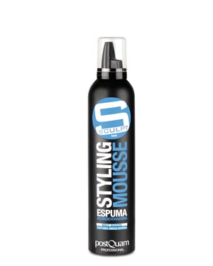 ESPUMA RIZADORA  300 ML.