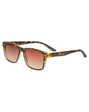 Simplifique las gafas de sol polarizadas Wilder