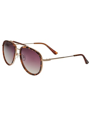 Simplifique las gafas de sol polarizadas Maestro