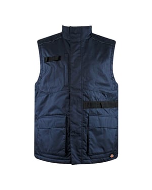 Dickies awt hombre marina