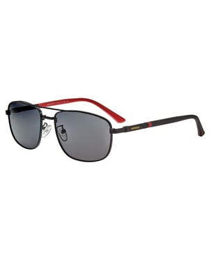 Gafas de sol polarizadas de raza Gotham