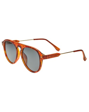 Simplifique las gafas de sol polarizadas Carter