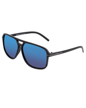 Simplifique las gafas de sol polarizadas Reed