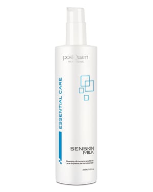 LECHE 250 ML. NORMAL