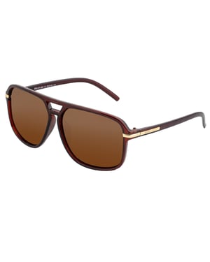 Simplifique las gafas de sol polarizadas Reed