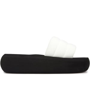 Rocket Dog Splash Sandalias