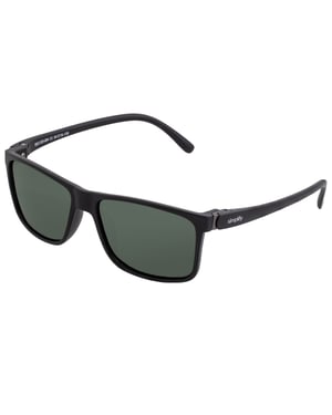 Simplifique las gafas de sol polarizadas Ellis