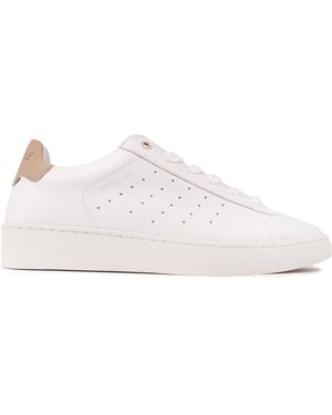 Sole Lab Zinc Entrenadores