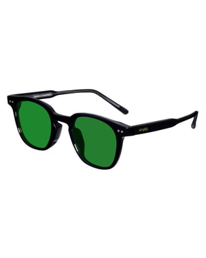 Simplifique las gafas de sol polarizadas Alexander