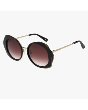 Ted Baker Gafas de sol TB1715 422 53