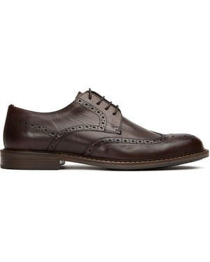 Soletrader Barry Brogue Zapatos