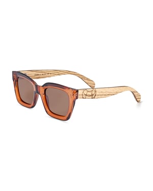 Gafas de sol polarizadas Earth Wood Antalya - Cebra/Marrón
