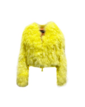 Chaqueta bomber con plumas de Dsquared2