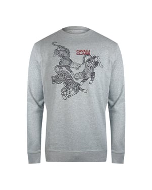 Sudadera Gris Con Diseño De Leopardo Y Cachemira Cavalli Class