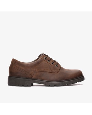 Zapatos de Cuero Marrón Lane Stride