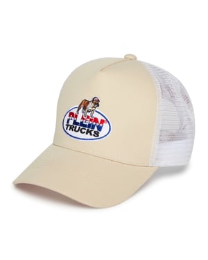 Mesh Baseball Cap Plein Trucks