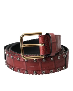 Cinturón de piel de cocodrilo marrón con hebilla de metal tachonada de Dolce & Gabbana