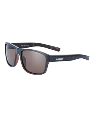 Gafas de sol polarizadas Breed Astor - Marrón/Marrón