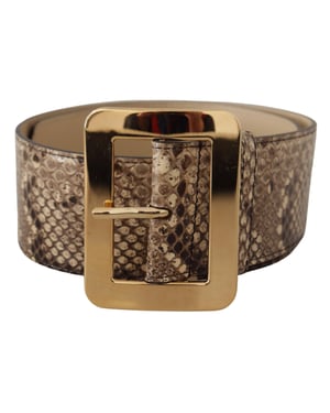 Cinturón de cuero marrón exótico de ancho con hebilla de metal dorado de Dolce & Gabbana