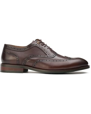 Simon Carter Diplodocus Brogue Zapatos