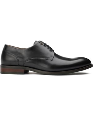 Zapatos Derby Stegosaurus de Simon Carter