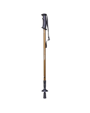 Junior Walker Candado Polo Único Ajustable Niños Senderismo Caminata Trekking Exterior