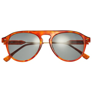 Simplifique las gafas de sol polarizadas Carter