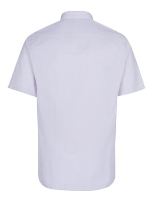Camisa Pal Zileri