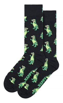Calcetines con estampado de dinosaurio | Calcetines alegres | Calcetines divertidos de dinosaurio - Verde