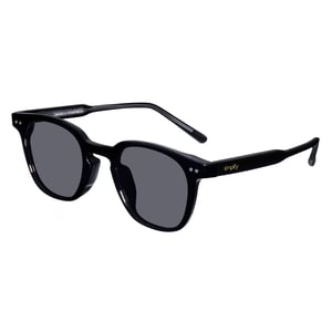 Simplifique las gafas de sol polarizadas Alexander