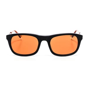 Gafas de sol polarizadas PLD2104SX hombre