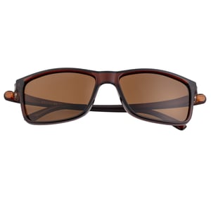 Simplifique las gafas de sol polarizadas Ellis