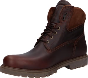 Botas para hombre Panama Jack en marrón