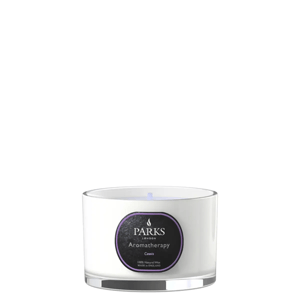 VELA DE VIAJE CASSIS 110G