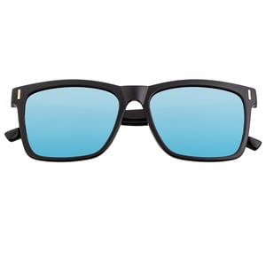 Gafas de sol polarizadas Pictor de raza