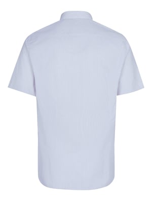 Camisa Pal Zileri