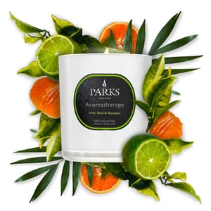 VELA DE LIMA, ALBAHACA Y MANDARINA 220G