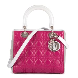 Medium Lady Dior Zip PM Bolso
