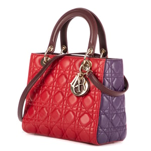Medium Lady Dior Zip PM Bolso