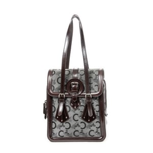 Flap Buckle Shoulder  Bolso bandolera
