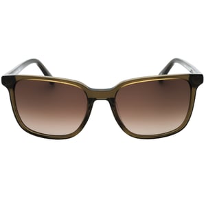 Gafas de sol verdes con lentes SF marrones de Banana Republic