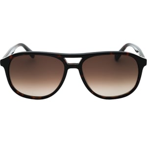 Gafas de sol Havana con lentes SF marrones de Banana Republic