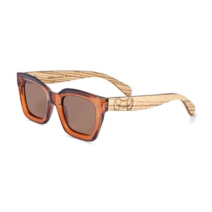 Gafas de sol polarizadas Earth Wood Antalya - Cebra/Marrón